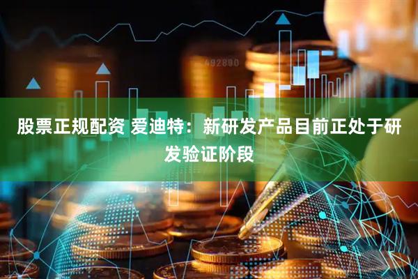 股票正规配资 爱迪特：新研发产品目前正处于研发验证阶段