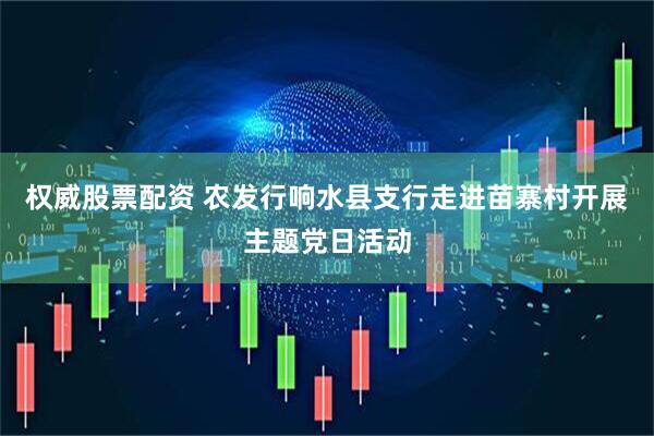 权威股票配资 农发行响水县支行走进苗寨村开展主题党日活动