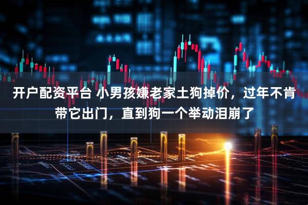 开户配资平台 小男孩嫌老家土狗掉价，过年不肯带它出门，直到狗一个举动泪崩了