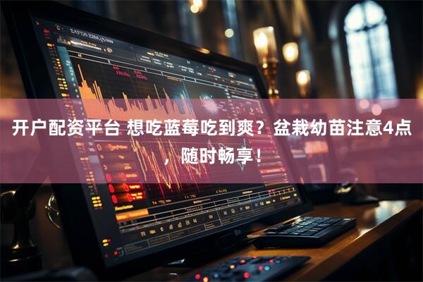 开户配资平台 想吃蓝莓吃到爽？盆栽幼苗注意4点，随时畅享！